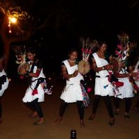 tharu dancing show