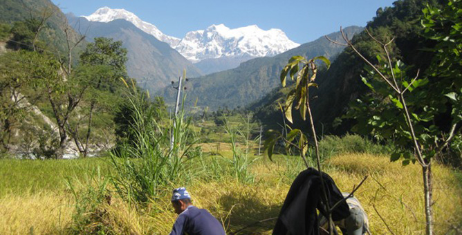 Trekking-Trail-ganesh-himal rubi valley